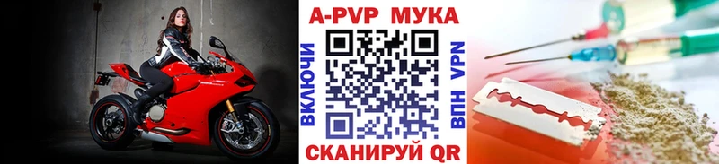 APVP СК  Болотное 