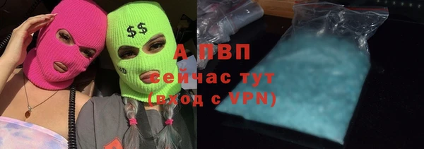 ГАЛЛЮЦИНОГЕННЫЕ ГРИБЫ Белокуриха