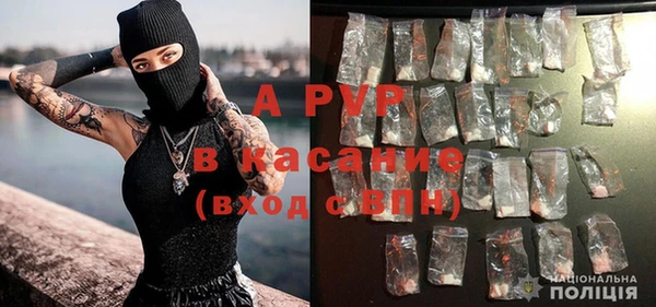 ГАЛЛЮЦИНОГЕННЫЕ ГРИБЫ Белокуриха
