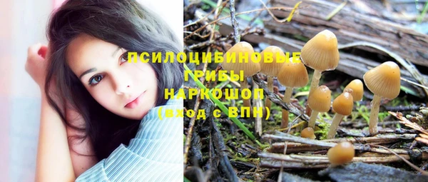 ГАЛЛЮЦИНОГЕННЫЕ ГРИБЫ Белокуриха