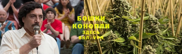 ГАЛЛЮЦИНОГЕННЫЕ ГРИБЫ Белокуриха