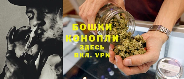 ГАЛЛЮЦИНОГЕННЫЕ ГРИБЫ Белокуриха