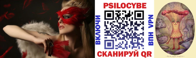 где можно купить   Болотное  Галлюциногенные грибы MAGIC MUSHROOMS 