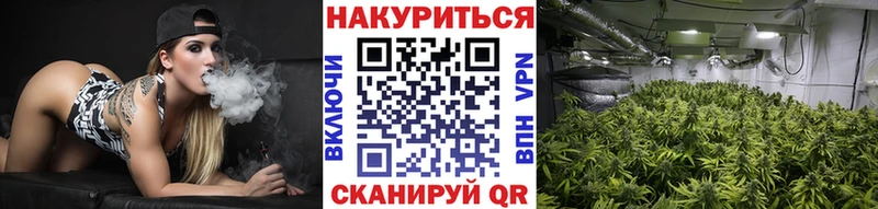 Конопля марихуана  Болотное 